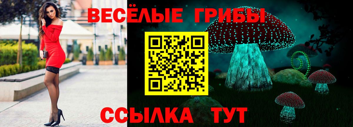 Псилоцибиновые грибы прущие грибы  Вход с VPN  Южноуральск 